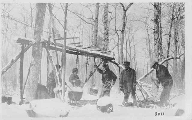 Boiling Maple Syrup