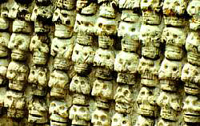 Aztecs Skull Rack