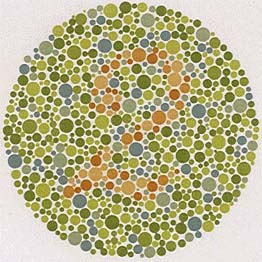 Color Blind Male