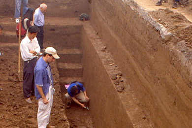 Excavation in progress.