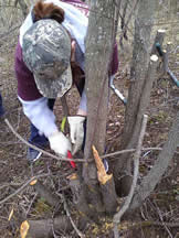 UMD volunteer at the Hartley Nature Center