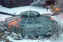 Snowy lower greenhouse