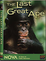 The Last Great Ape video.