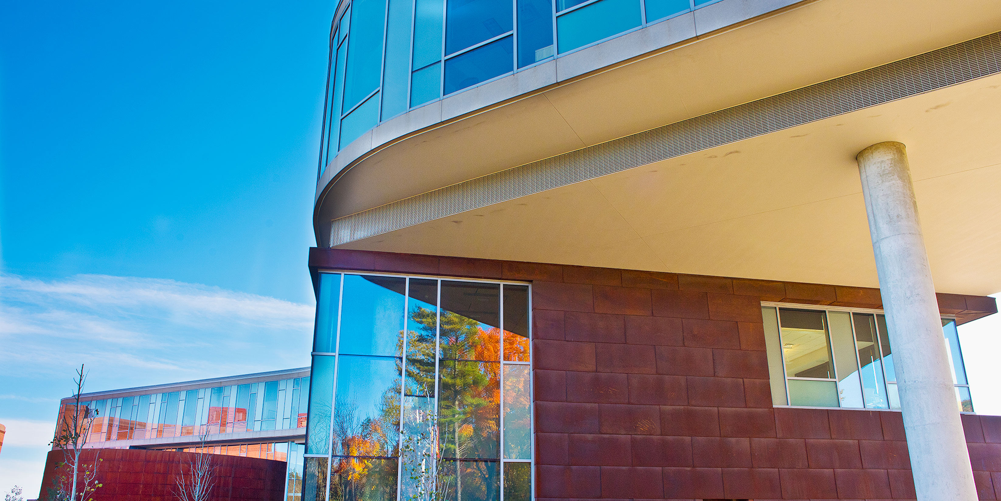 An abstract view of the LSBE building with glass and curving walls reflecting autumn leaves and blue skies behind.