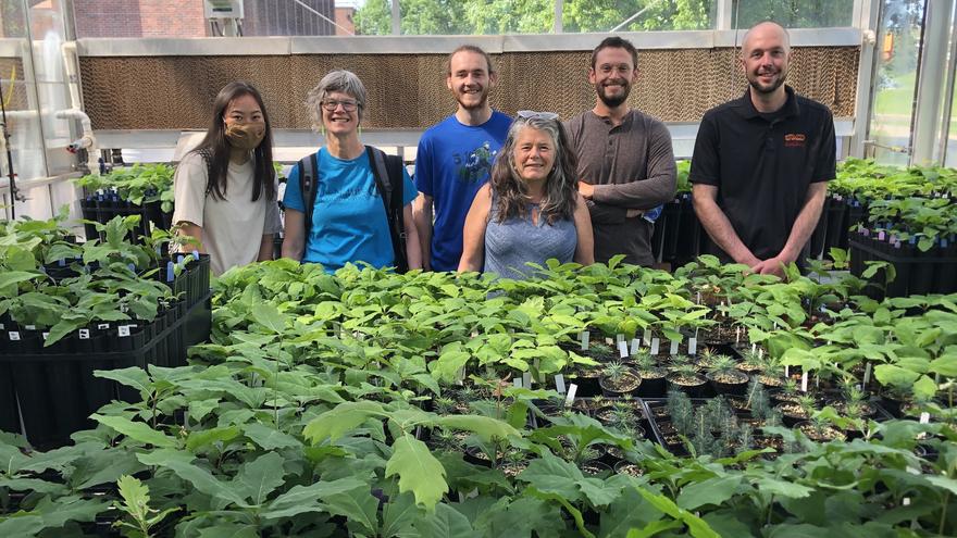 A group of people in a greenhouse standing behind a table of plants.