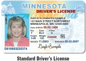 drivers license