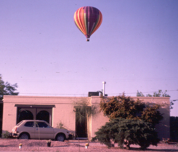 A colorful visitor in Tucson, Arizona